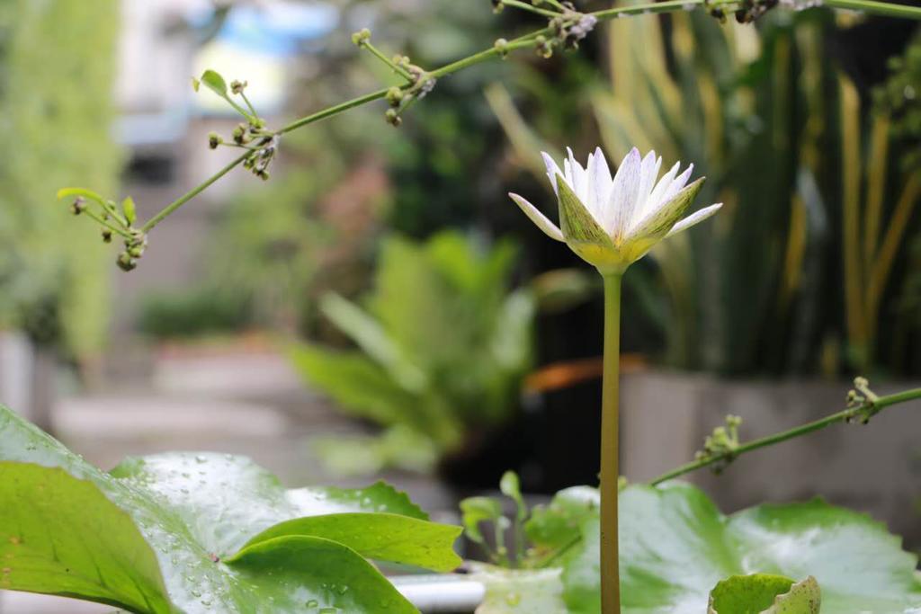 Namnon Place Nonthaburi Extérieur photo